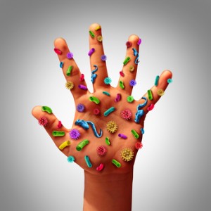 Hand Germs