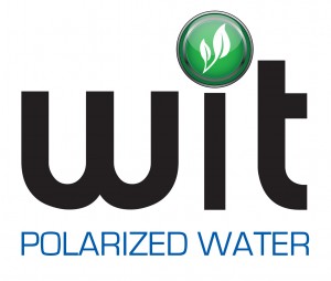 WIT-Polarized Water Logo